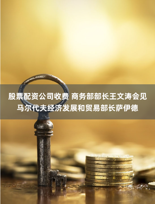 股票配资公司收费 商务部部长王文涛会见马尔代夫经济发展和贸易部长萨伊德