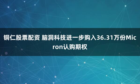 铜仁股票配资 脑洞科技进一步购入36.31万份Micron认购期权